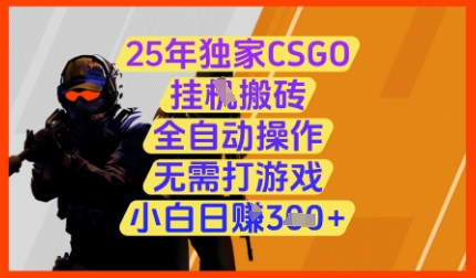 25年独家CSGO挂G搬砖，全自动操作，无需打游戏，小白日入3张+【揭秘】-子比主题