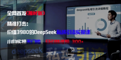 精准打击：价值3980的DeepSeek私域引流实操课，小白实操无门槛，日引精准粉300+-子比主题
