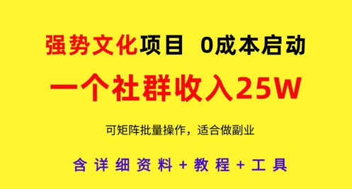 强势文化项目，一个社群收入25个W，0成本启动，可矩阵批量操作，原创详细实操教程-子比主题