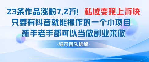 抖音私域项目23条作品涨粉7.2W，私域变现1W-子比主题