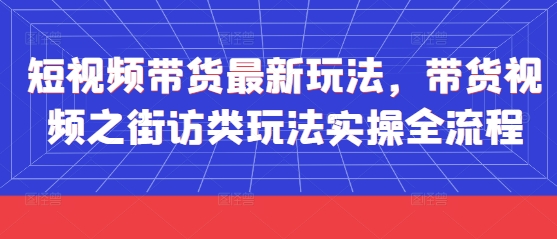 短视频带货最新玩法，带货视频之街访类玩法实操全流程-子比主题